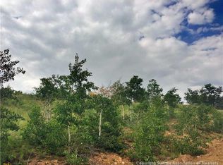 785 Antler Ridge Rd, Como, CO 80432