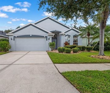 13616 Sigler St, Riverview, FL, 33579