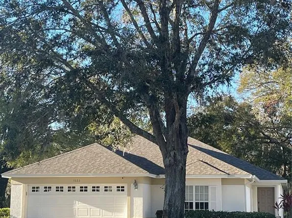 7023 Arcadian Ct, Mount Dora, FL 32757