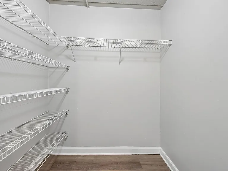 Spacious Walk In closet