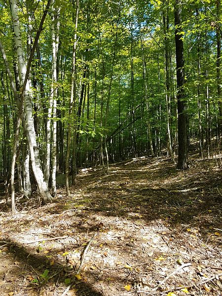 4th image of TBD BEAN Road