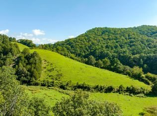 Big Creek Rd, Sneedville, TN 37869