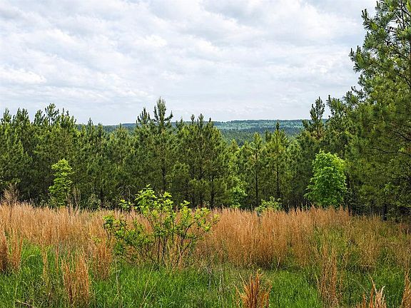 3rd image of 158 Legacy Ridge Trl Lot 55
