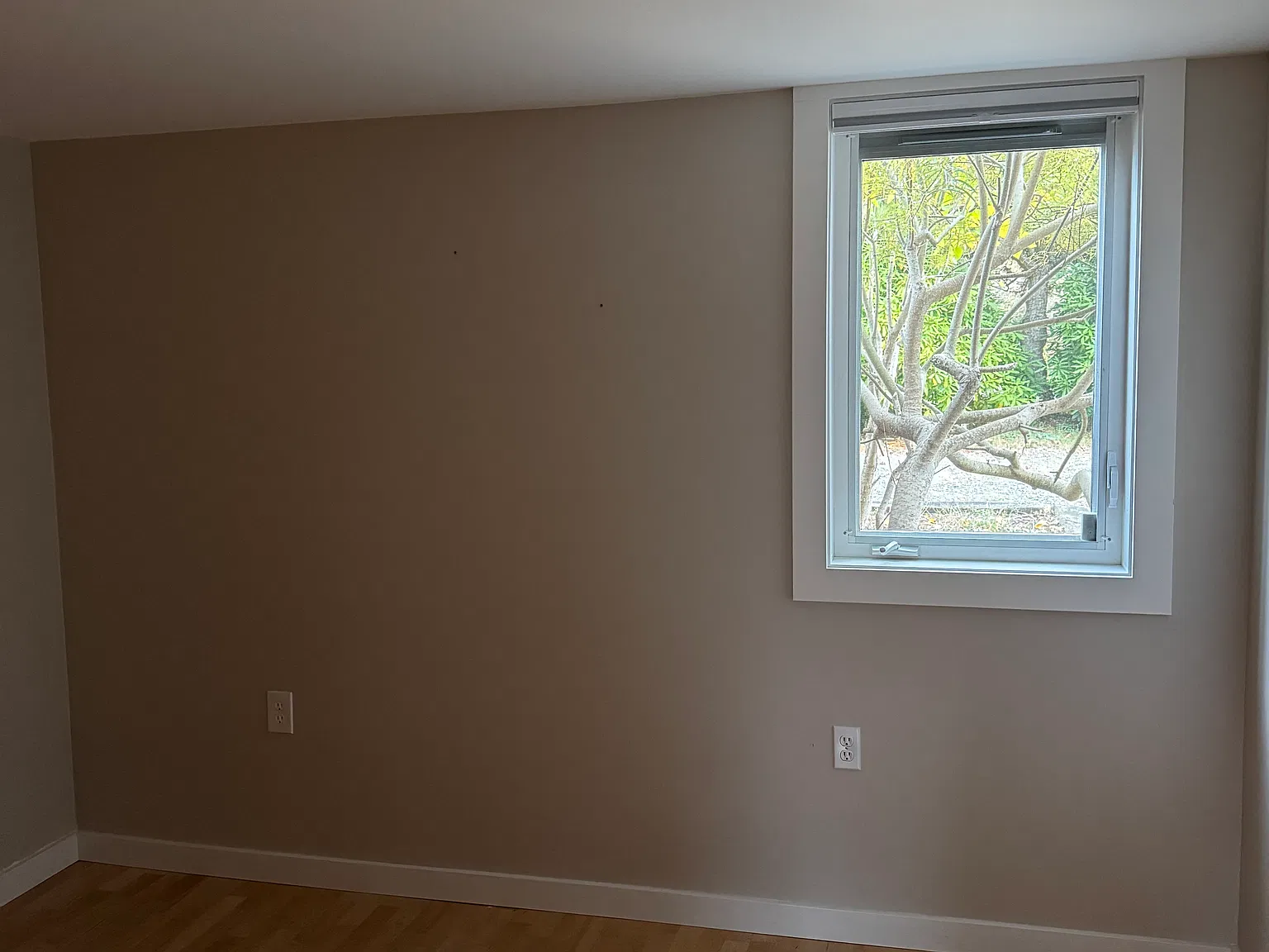 1 bed, 600 sqft, $1,500 — Photo 3