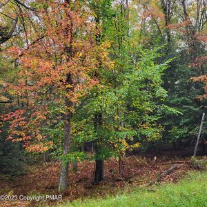 Dryden Dr, Albrightsville, PA, 18210