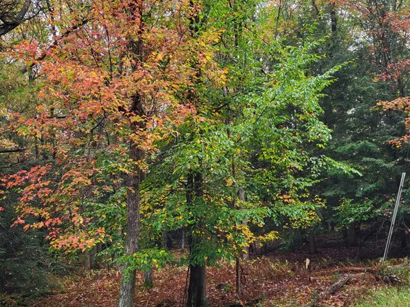 Dryden Dr, Albrightsville, PA 18210