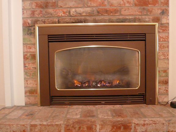 Fireplace insert w/remote