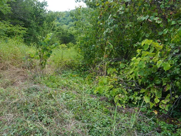 Lot 40 Cannon Ball Loop, Branson, MO 65616