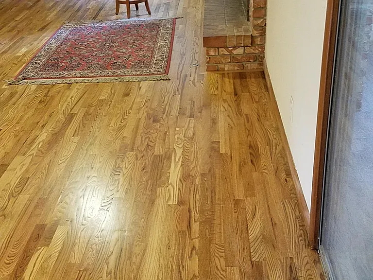 Living with Fireplace for gas log only.