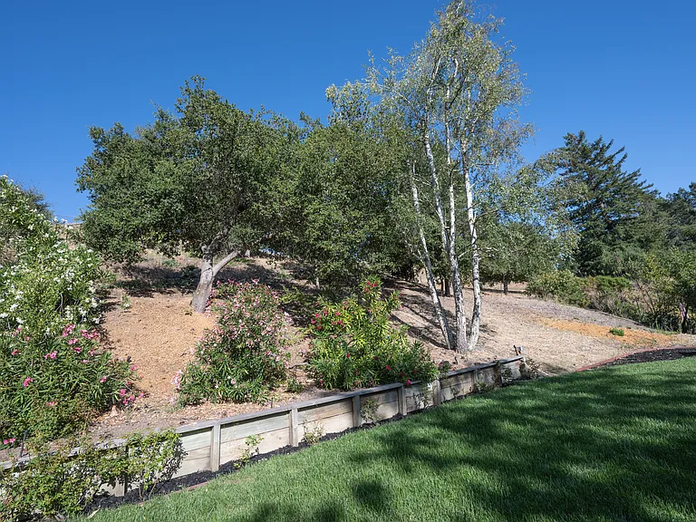 705 Camino Ricardo — Photo 24