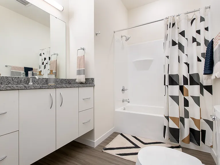 Vista - 1 Bed / 1 Bath - 708 SF - Bathroom