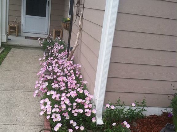 4th image of 504 Larchwood Dr
