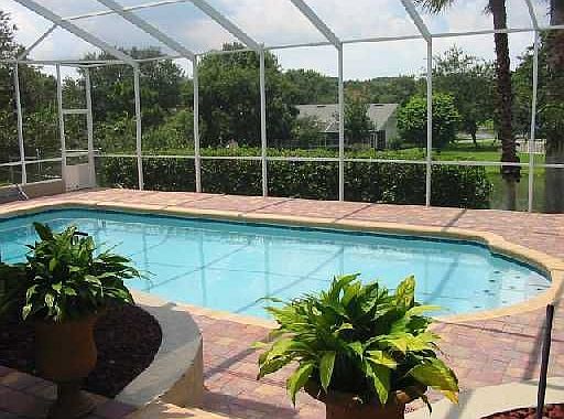 New pool with paver bricks