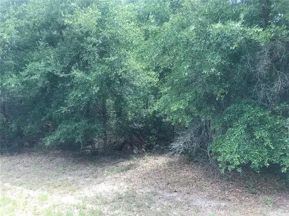 10161 N Dyal Dr Lot 5, Dunnellon, FL 34434