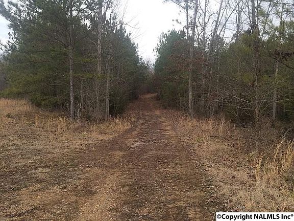 4th image of 1440 County Road 144