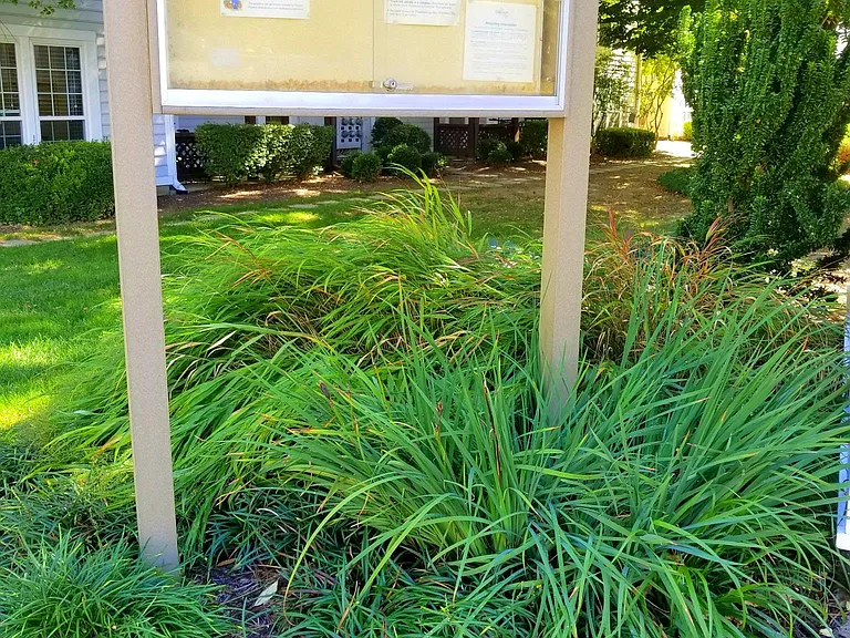 10140 Oakton Terrace Rd — Photo 11