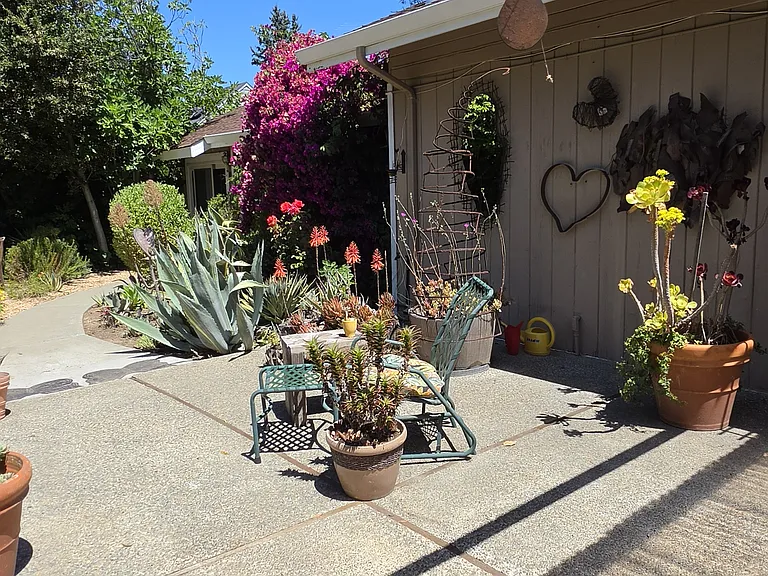 Mid Yard Areas