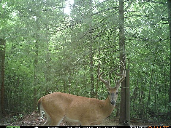 5th image of Lower Gallaher Rd