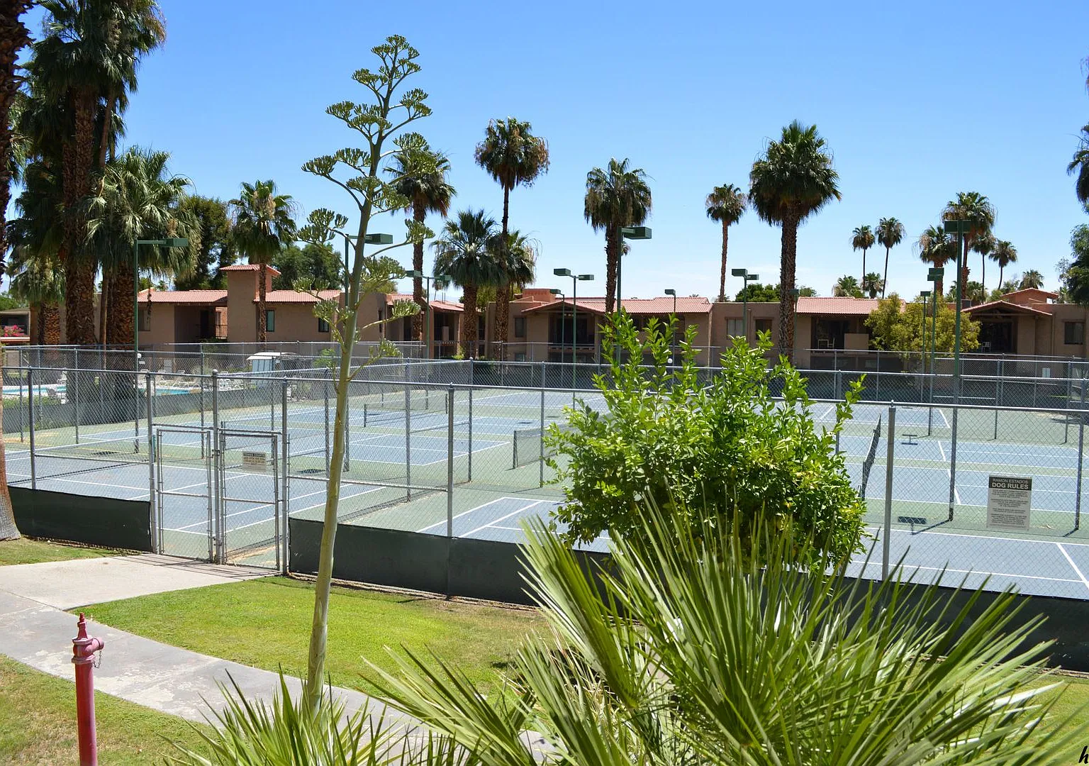 Palm Springs,'Ramon Estados', Unfurnished, Long Term — Photo 4