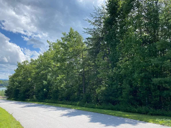 2032 McDowell Shoals Rd, Nebo, NC 28761