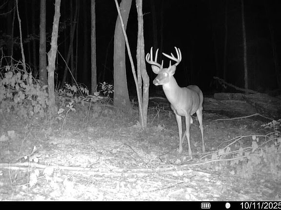 4th image of TRACT Coal Ln #A