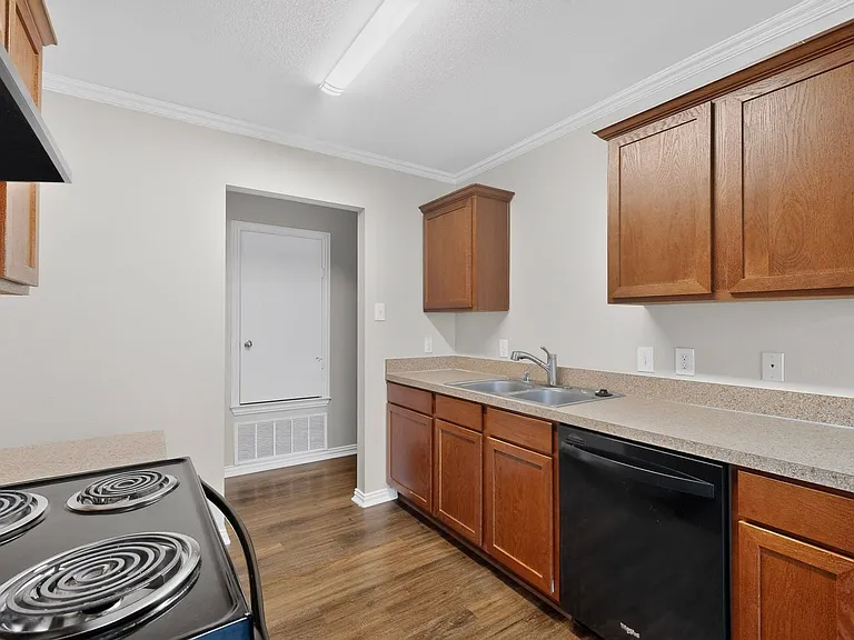 4834 Jesus Maria Ct — Photo 13