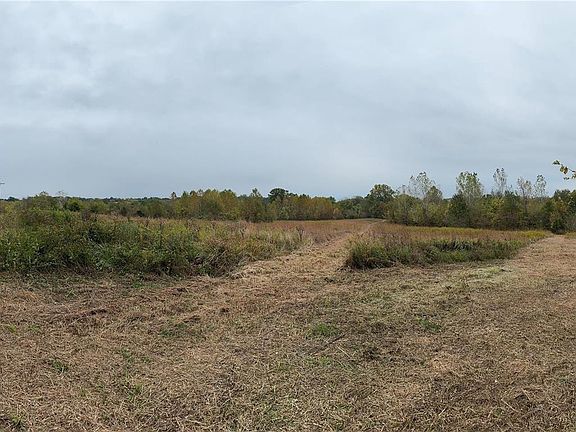 3rd image of 8203 State Hwy E Lot 4