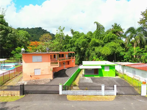 Carr 167 Bo Dajaos Sect, Bayamon, PR 00956