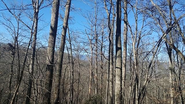 1st image of 38 Cave Springs Rd