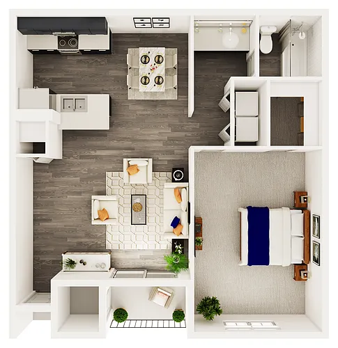 Floor plan 1 Bedroom 1 Bathroom D