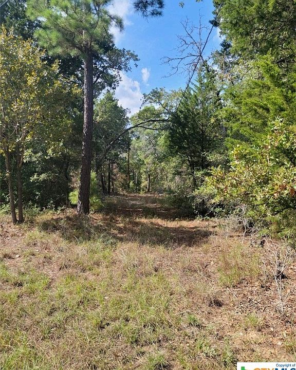 460 Porter Rd, Bastrop, TX 78602 | MLS #522123 | Zillow