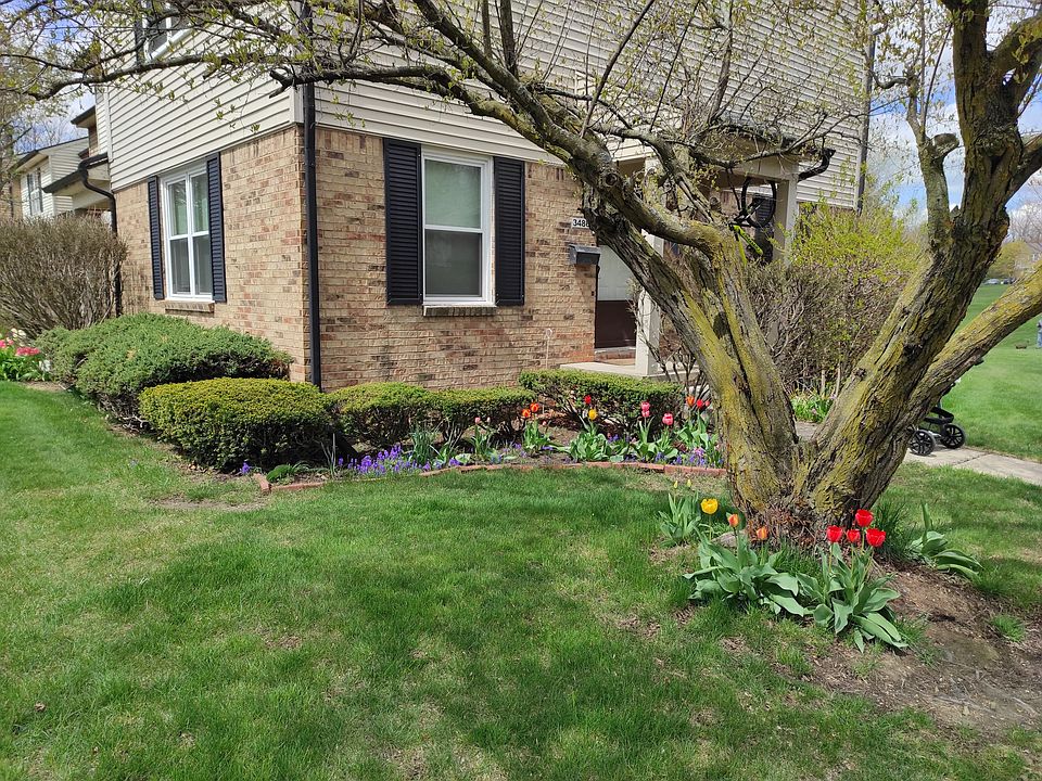 1st image of 3486 Burbank Dr