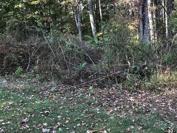 LOT 10 Elem St, Chilhowie, VA 24319