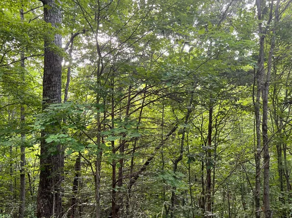 LOT 13 The Preserve At Beach Mountain, Brasstown, NC 28902