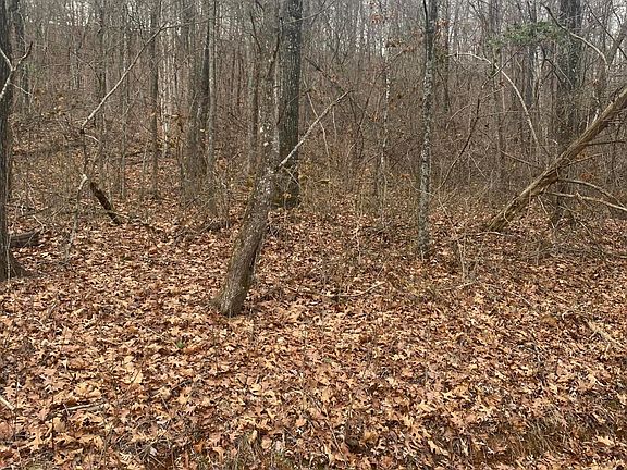 3rd image of County Road 5051