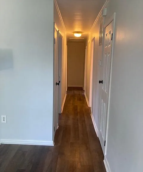 811 Minnie St — Photo 21