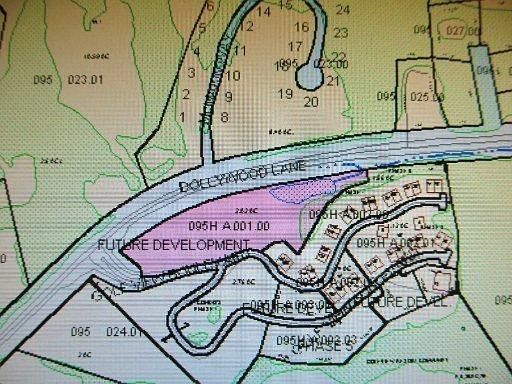 2nd image of Dollywood Ln