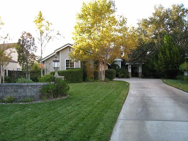 Driveway to the house