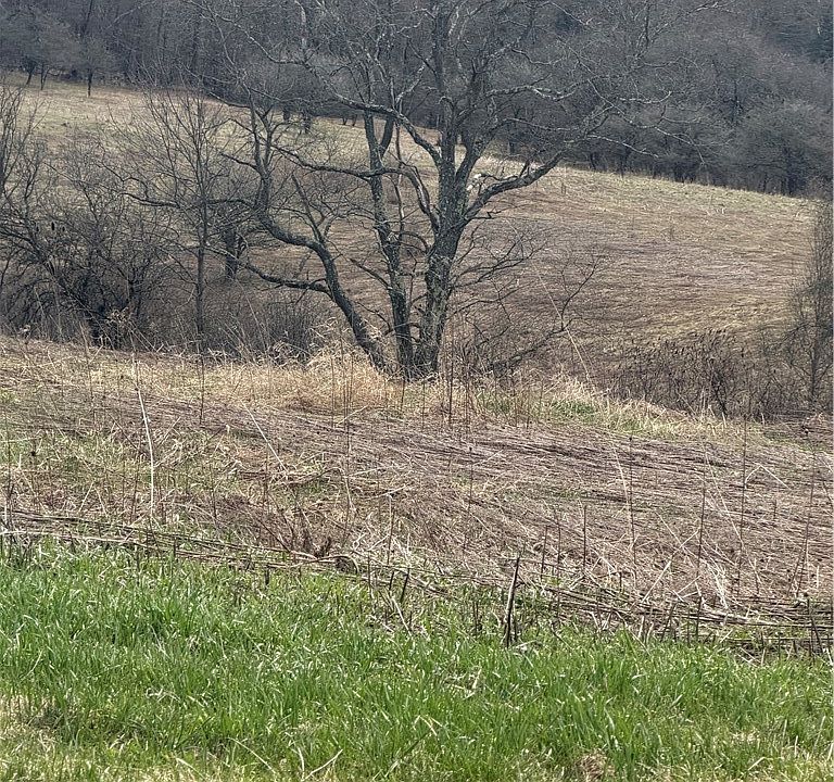1st image of State Highway 23 Lot 21