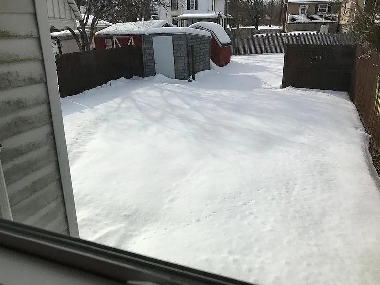 Yard with off-street parking