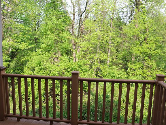 Wooded backyard - privacy!