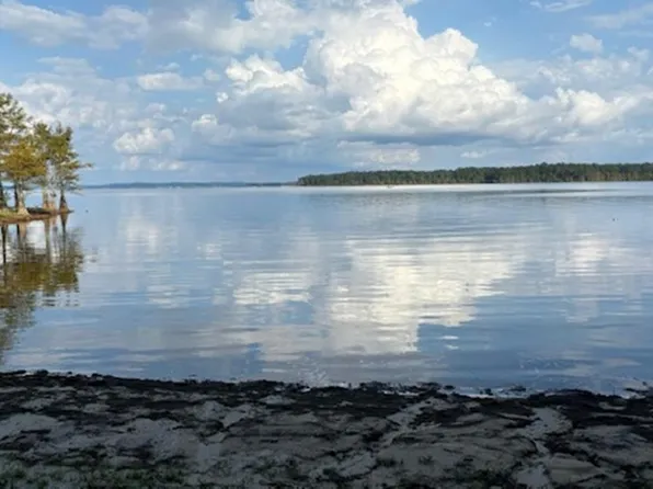 51 Aurelia Russell, Hemphill, TX 75948