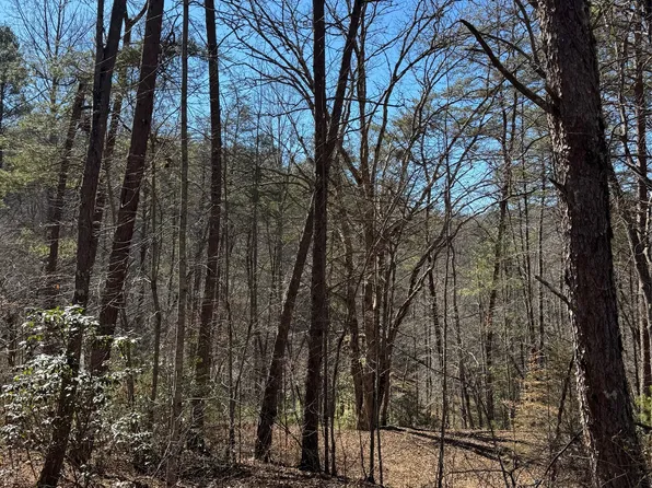 211 Hidden Hollow Lane, Otto, NC 28763