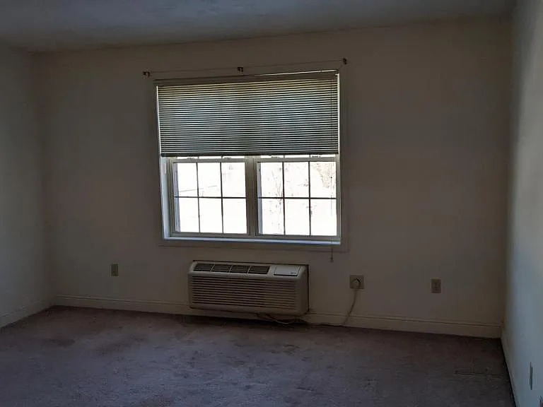 12 Pratt St #301 — Photo 15