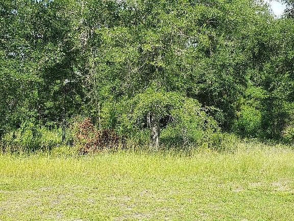 2nd image of 2841 White Dove Circle SW LOT Ph1-L-10