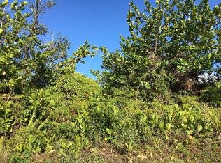 15-861 Lemiwai Rd LOT 335, Keaau, HI 96749