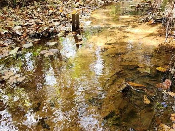 County Rd E #229, Headland, AL 36345