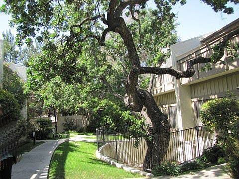 2nd image of 2066 Los Feliz Dr