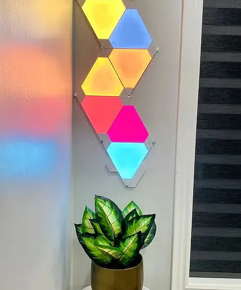 10 Clementine Sq — Photo 4