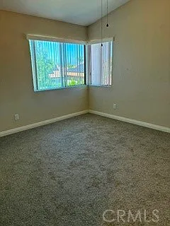 21 Dewberry — Photo 23